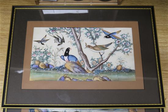 19th century Chinese School, pair of gouache on pith paper, studies of birds and flowers, 17 x 30cm